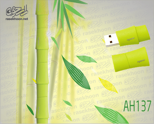 Apacer AH137 4GB